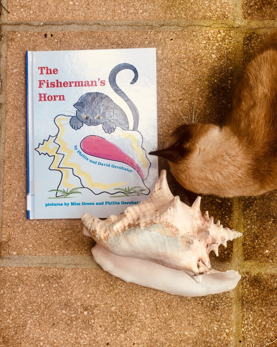 Book with conch shell and cat